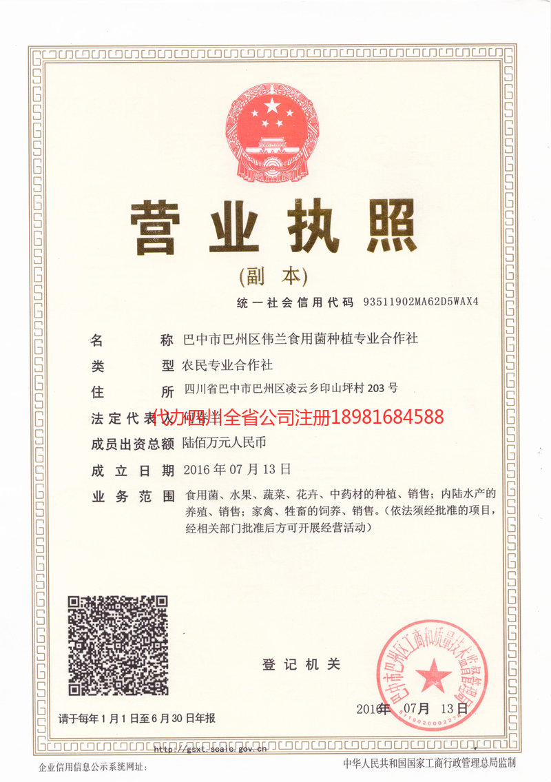 永济永济伟兰食用菌种植专业合作社